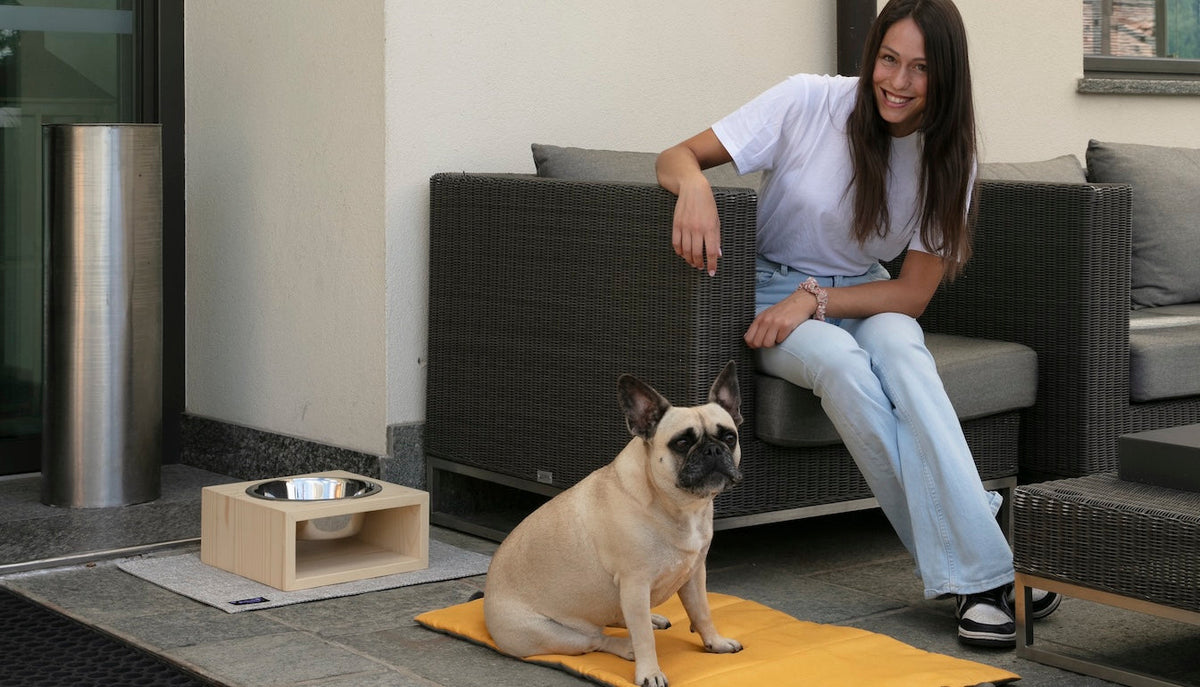TRASVERSALE BH4 PETS